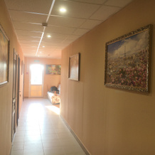 Tsarskiy Guest house, 多莫杰多沃 — 照片 5