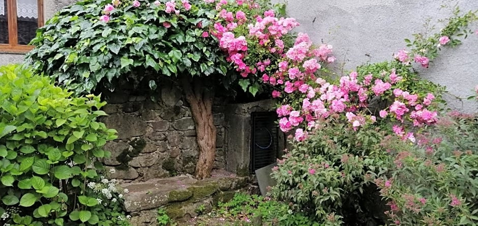 B&B Alle Ortensie Blu, Сеста Годано — фото 1