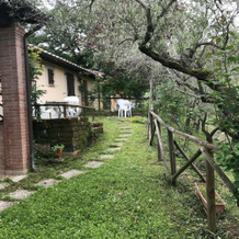 Agriturismo Colleciglio, 贾诺-德尔翁布里亚 — 照片 4