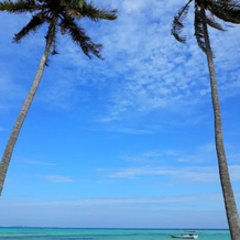 Arys Lagoon Bungalow & Hotel, 哲帕拉 — 照片 5