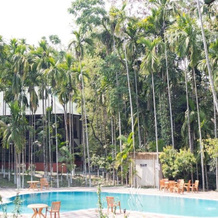 Infinity Resort Kaziranga, Кохора — фото 2