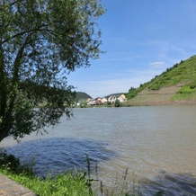 Ferienwohnungen Moselstausee, 上费尔 — 照片 5