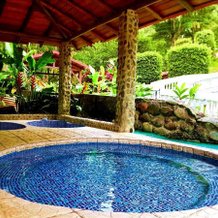 Rio Perlas Thermal Resort & Spa, Картаго — фото 4