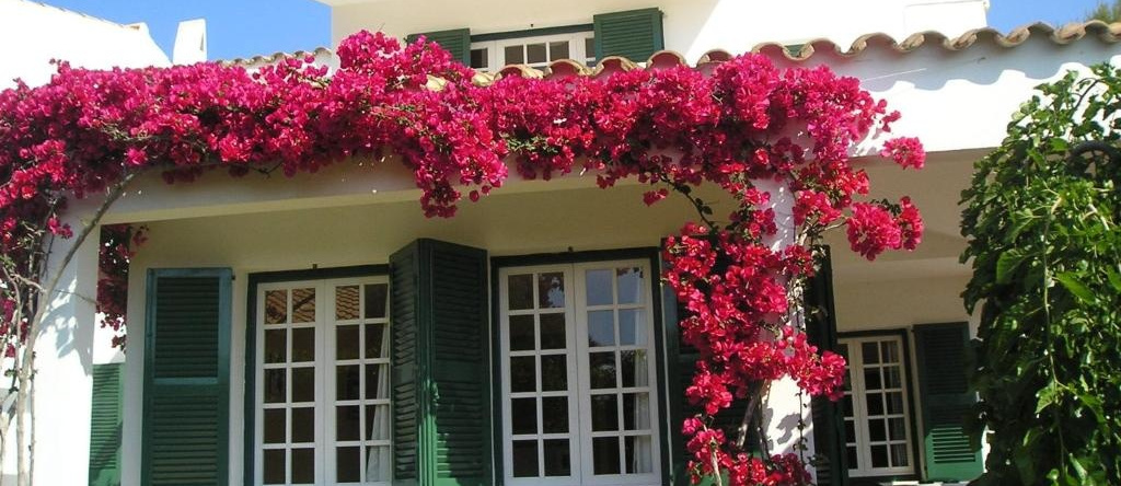 Apartamentos Las Brisas I & II, Ciudadela de Menorca — photo 1