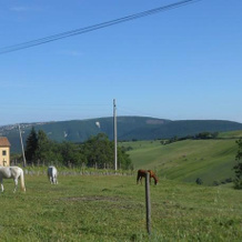 Ziamelia, Cingoli — photo 3