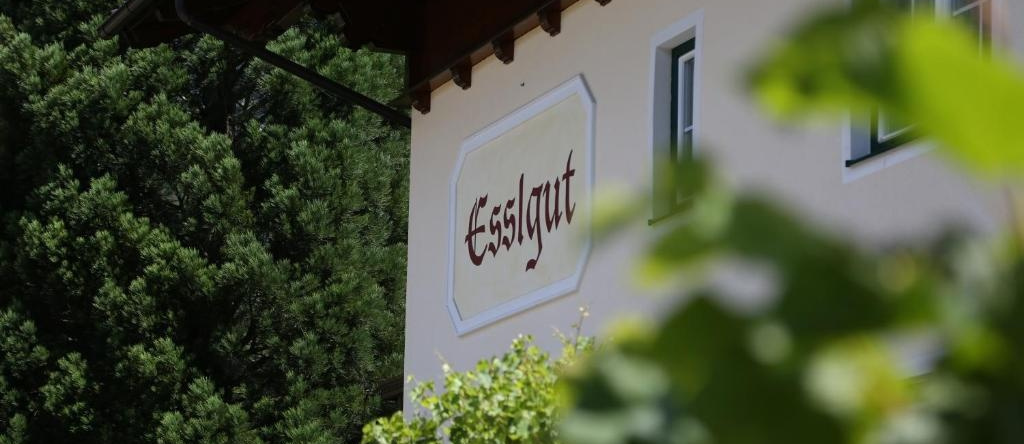 Appartments am Esslgut, 恩斯塔尔豪斯 — 照片 1