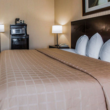 Comfort Suites, 罗斯米德 — 照片 4