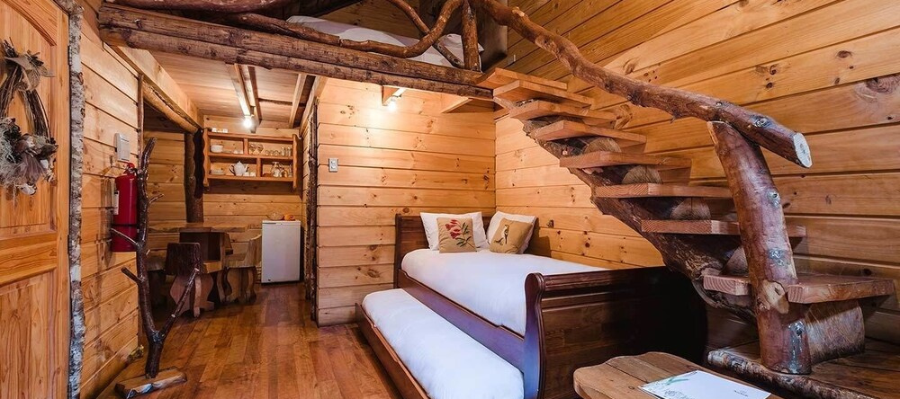 Huilo Huilo Cabanas Del Bosque, Пангипульи — фото 1