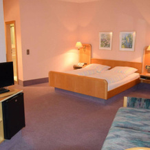 Hotel & Gasthof Grüner Baum, 奈拉 — 照片 5