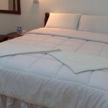 Phonemany Guesthouse, 北宾 — 照片 4