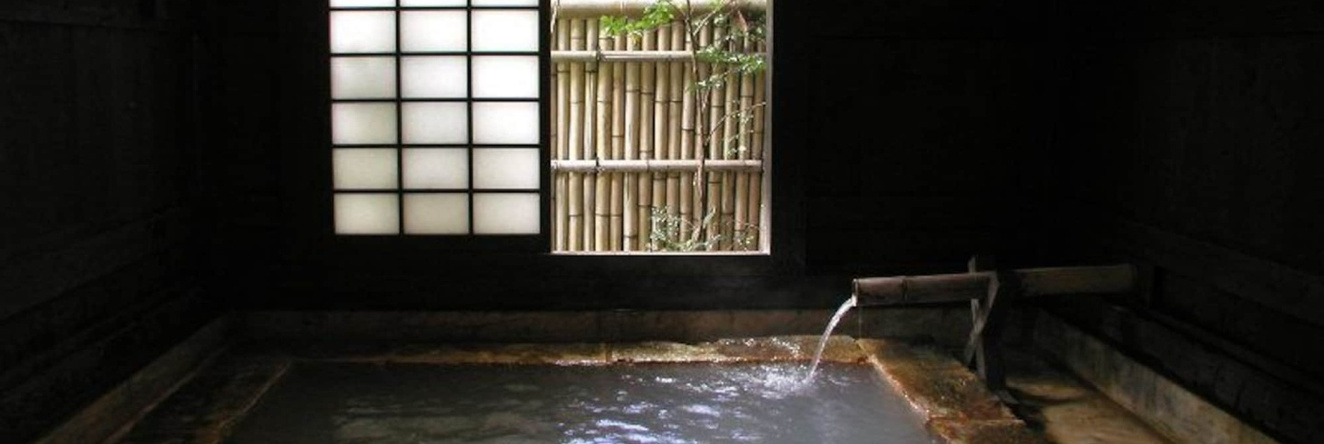 Ryokan Sanga, Минамиогуни — фото 1