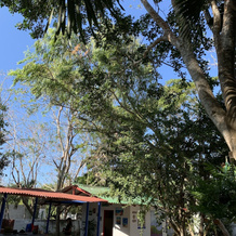 Casa Campomar, 圣维罗妮卡 — 照片 5