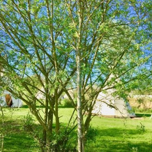 Les Tipis du Bonheur de Vivre, 布吕隆 — 照片 4