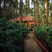 Coffee Gudda Resort, 卡拉萨 — 照片 5