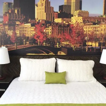 Hotel Sexta Avenida, 卡希卡 — 照片 5