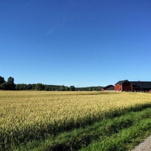 Pensionat Solgården, Вадстена — фото 4