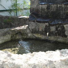 Hawaiian Paradise Bungalow, 卡波霍 — 照片 4
