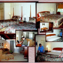 Inn At The Beeches, 罗马 — 照片 5