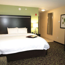 Hampton Inn and Suites Sandusky Milan, Milan — photo 4
