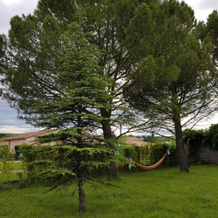 gîte en sud Ardèche, 吕奥姆 — 照片 2