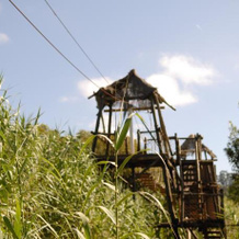 Aula-Albergue De La Naturaleza La Laurisilva, 巴列塞科 — 照片 5