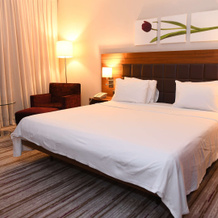 Hilton Garden Inn Konya, Turkey, Конья — фото 3