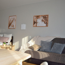 yut Myshkin Guest house, 梅什金 — 照片 2