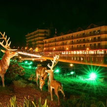 Sairme Hotels & Resorts, 赛尔梅 — 照片 5