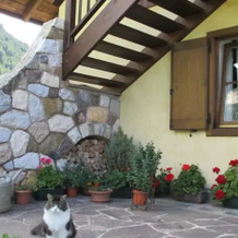 Bed and Breakfast Casa Fipinger, 潘基亚 — 照片 5