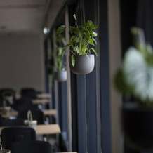 Hotel Jarl, 沃瑟瓦根 — 照片 2