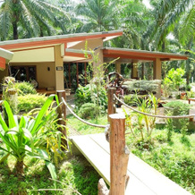 Tonpalm Farmstay, 空通 — 照片 3