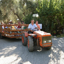 Agriturismo Il Maresciallo, 卡里亚蒂 — 照片 5