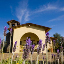 San Bernardo Hotel & Spa en la Montana, 塔帕尔帕 — 照片 5