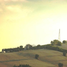 Casale del Levriero - Appartamenti in Country House, 马西尼亚诺 — 照片 5