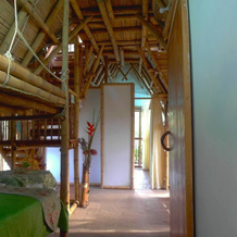Ecoturismo La Nohelia, 杰里科 — 照片 4
