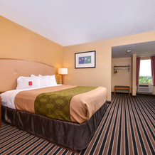 Econo Lodge Inn & Suites Gilbertsville, Калверт-Сити — фото 3