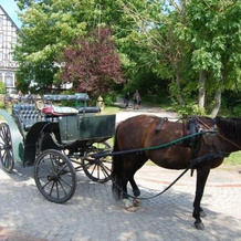 Hotel Enddorn, Hiddensee — photo 4
