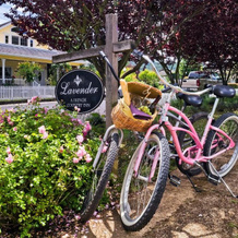 Lavender, A Four Sisters Inn, Yountville — photo 3