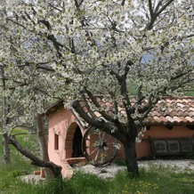 Agriturismo Fornaci Sabine, 贝尔福泰德尔基恩蒂 — 照片 4