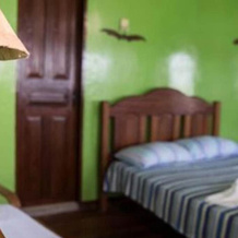 Amazon resort island, Careiro — photo 2