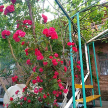 Yasin Guest House, 苏达克 — 照片 4
