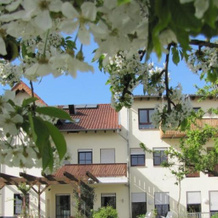 Weingut Sandwiese Winzerhotel, Вормс — фото 4