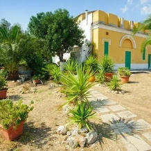 Masseria Capocanale, Статте — фото 5