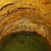 Agriturismo Il Crutin, 圣斯特凡诺贝尔博 — 照片 5