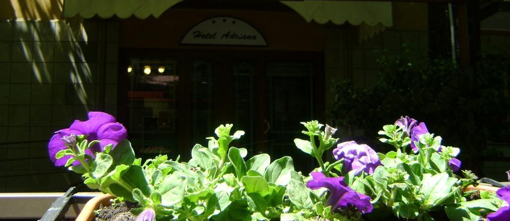 Hotel Adriana, Abbadia San Salvatore — photo 1