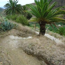 Casas Rurales Hermigua, Hermigua — photo 2