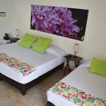 Finca Hotel La Tata, Montenegro — photo 2
