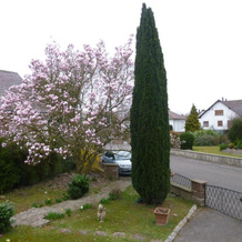 Jardin Fleuri, 兰戈尔斯海姆 — 照片 2