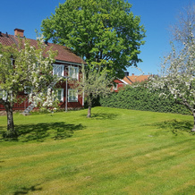 Tjällmo Gästgifvaregård, 穆塔拉 — 照片 3