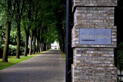 TopParken Landgoed de Scheleberg, 伦特伦 — 照片 1